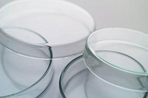 小牧市で夜間透析が可能なクリニック徹底ガイド｜信頼と利便性で選ぶ最適な医療サービス