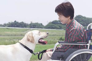 安心して医療脱毛を行う事を考えている方におすすめ