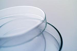 熊本で不妊治療や妊娠・出産に関する信頼できる産婦人科を見つける方法