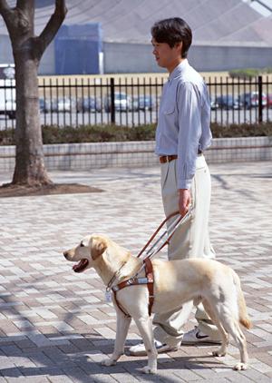 伊丹市で口コミNo．1の歯医者が教える！痛みの少ない治療法と美しい歯の秘訣