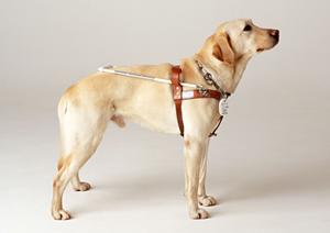 西宮でおすすめの内科クリニックガイド：健康維持と予防接種の最新情報をチェック！