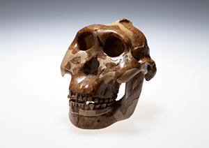 いい精神科を銀座で見つけるためには